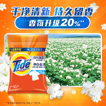 汰渍 洗衣粉 净白去渍升级5.5kg 去污留香家庭装袋装批发