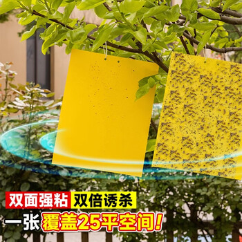 光多拉苍蝇贴灭蝇纸20张黄板诱虫板双面粘虫板果蝇诱捕器苍蝇神器灭蝇器