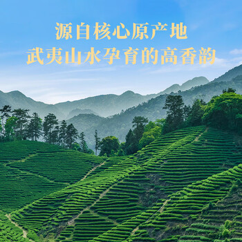 八马茶业八马入口知系列水仙（180g/盒）（45泡*4g）送礼茶叶 礼盒装