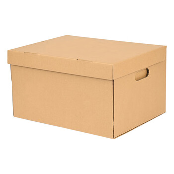 泰档档案箱空白连体纸箱带盖档案专用箱办公纸箱40*34.5*25cm 【10个】 K4034525-10