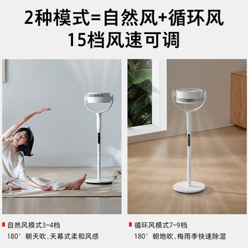东芝（TOSHIBA）电风扇空气循环扇家用直流变频轻音落地扇负离子空气净化卧室加速除湿一级能效DSB700XCN(Y)