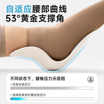 思莱宜腰靠垫护腰靠垫办公室腰托护腰久坐神器人体工学腰垫靠背垫坐姿椅