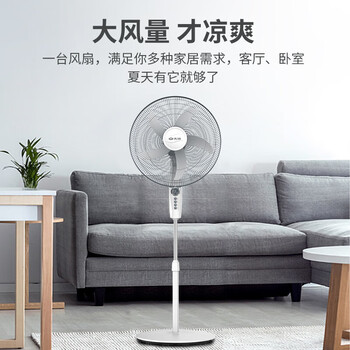 先锋（SINGFUN）五叶家用电风扇 机械立式落地扇 18寸5叶牛角扇 FS45-21A