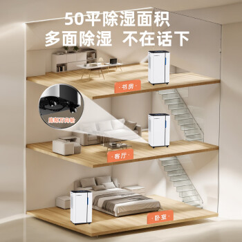 欧井（Eurgeen）除湿机/抽湿机 除湿量20升/天 适用面积40㎡ 家用地下室轻音净化干衣吸湿器 OJ-231E