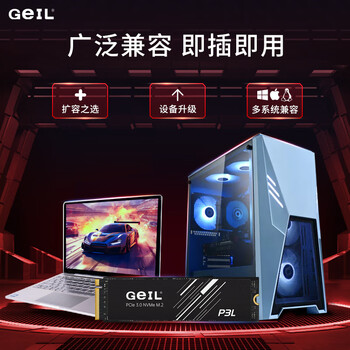 GEIL金邦 512GB SSD固态硬盘 M.2接口PCIe 3.0（NVMe协议）台式机笔记本硬盘 高速3000MB/S P3L系列