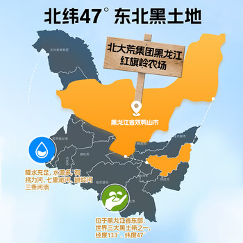 北大荒纯豆浆粉720g（36条）低GI高纤高蛋白冲饮早餐元气好运抽签礼盒