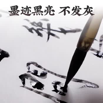 玖柒文房墨汁毛笔书法墨水国画专用作品墨液初学者学生文房四宝创作练习墨汁500g