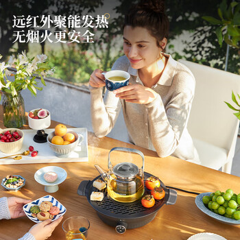 摩飞电器（Morphyrichards）全玻璃养生壶围炉煮茶电陶炉煮茶器煮茶炉多功能泡茶蒸茶器 0.65L MR6083灰色