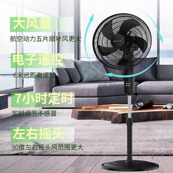 先锋大风量家用立式落地扇遥控定时摇头电风扇 黑色 FS40-21AR