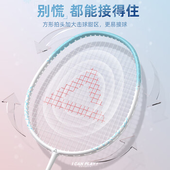 匹克羽毛球拍对拍套装超轻碳素纤维拍小学生初学者青少年儿童6-12岁 匹克羽毛球拍对拍套装超轻碳素纤维拍小学生初学者青少年儿童6-12岁