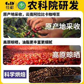 桂都精品农科院云南小粒咖啡豆500g阿比卡中深度烘焙现磨手冲浓缩咖啡