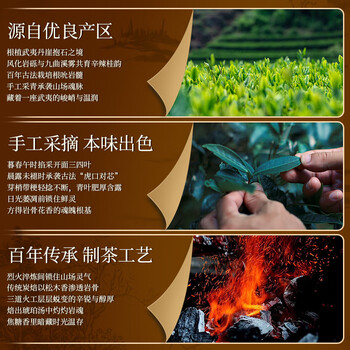 福东顺 茶叶 武夷岩茶肉桂乌龙茶浓香型中火碳焙高香型大红袍礼盒装500g
