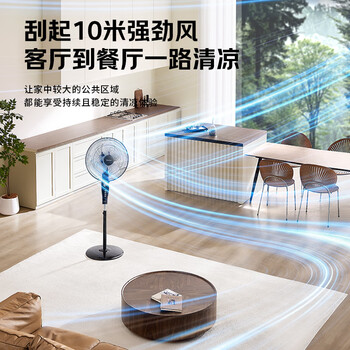 艾美特（AIRMATE）五叶家用电风扇大风量台式落地扇轻音节能空气循环小风扇定时电扇宿舍降温风扇 FSW65T2-5