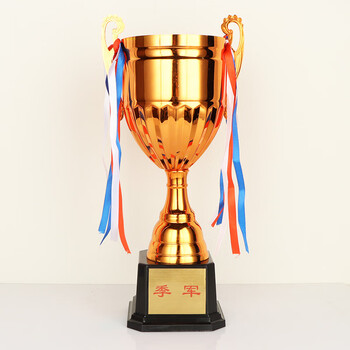 英翔盛金属奖杯自助打印体育比赛个人团体学生奖品篮球足球运动会金银铜杯银色款
