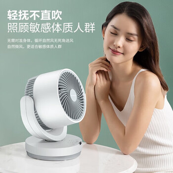 艾美特（AIRMATE）空气循环扇桌面台式小风扇家用电风扇遥控摇头电扇 CA15-R27