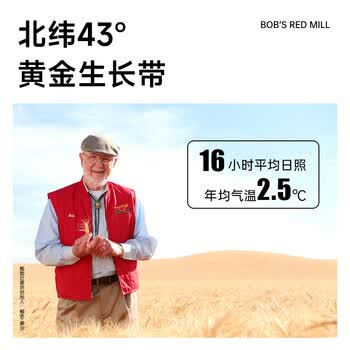 鲍勃红磨坊（Bobs Red Mill）钢切燕麦粒680克 全谷物整粒钢切燕麦代餐燕麦粥