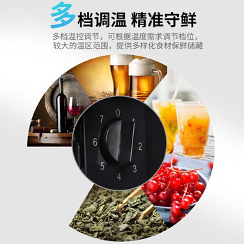 志高（CHIGO）冰吧.家用欧式恒温柜 迷你小型办公室单门 保鲜展示饮料 98升【企采购】