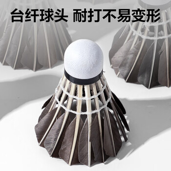 得力（deli）强韧耐打型黑鹅毛羽毛球10只装 训练结实不易折断毛牢固稳定羽球