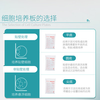比克曼生物 细胞培养板一次性孔板无菌无酶无热原独立装透明 【24孔】贴壁透明平底带盖