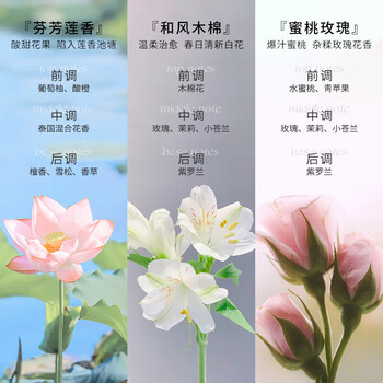 芝芙莲（GIFFARINE）内衣内裤洗衣液清洁液500ml*3瓶混合装 专用去血渍污渍留香持久