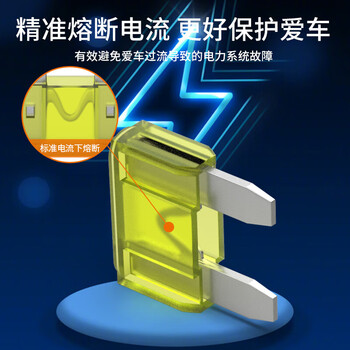 汇君 汽车保险丝保险片车用保险片插片4S店保险丝管套装 【迷你款】25A-白色10片