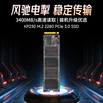 金百达(KINGBANK) 256GB SSD固态硬盘 M.2接口(NVMe PCIe 3.0) KP230系列 金百达(KINGBANK) 256GB SSD固态硬盘 M.2接口(NVMe PCIe 3.0) KP230系列