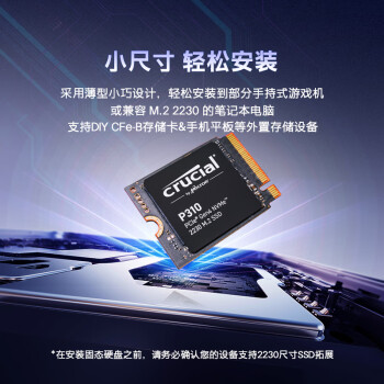 Crucial英睿达 美光P310 2TB SSD固态硬盘 2230 M.2（NVMe PCIe4.0*4）7100MB/s 适配SteamDeck掌机笔记本