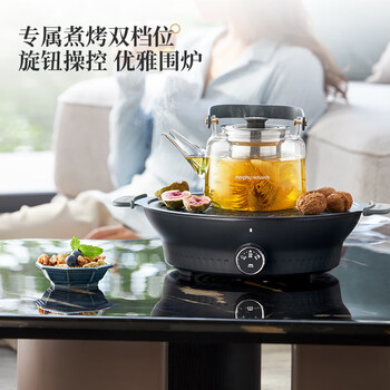 摩飞电器（Morphyrichards）全玻璃养生壶围炉煮茶电陶炉煮茶器煮茶炉多功能泡茶蒸茶器 0.65L MR6083灰色