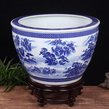 荷花缸金鱼排行- 京东