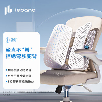 乐班腰靠垫人体工学支撑腰背靠腰托 可升降蝶形靠垫 