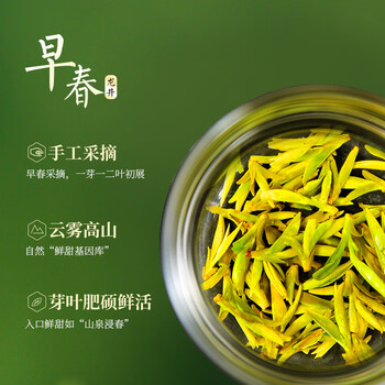 天福茗茶龙井 早春绿茶浙江龙井100g罐装茶叶 2025春茶绿茶 天福茗茶龙井 早春绿茶浙江龙井100g罐装茶叶 2025春茶绿茶