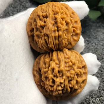 文玩核桃 金牛 直播间精品文玩核桃瓷娃娃金牛小众野核文玩盘玩核桃狮子头