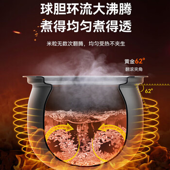 苏泊尔电压力锅6升大容量球釜双胆电高压锅家用3-8人高压电饭锅电压力锅SY-50YC9001Q 咖啡金