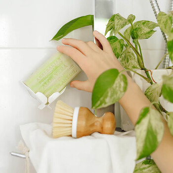 博坦妮Botanical澳洲进口香皂Costco在售植物精油手工沐浴皂200g芦荟