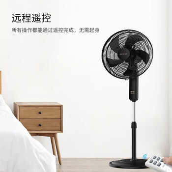 先锋大风量家用立式落地扇 FS40-21AR 遥控定时摇头电风扇 先锋大风量家用立式落地扇 FS40-21AR 遥控定时摇头电风扇
