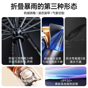 费林斯曼全自动雨伞男士超大号加固加厚抗风遮太阳伞晴雨两用便携防晒伞女
