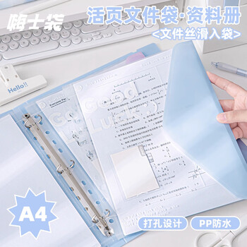 三年二班Goodluck文件收纳册活页文件夹试卷夹A4文件袋资料册办公用品文件册袋多页多层插页档案册依云白