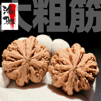 大團圓，#和尚頭，#大粗筋2025/02/22 #售麻核桃#文玩核桃#台灣