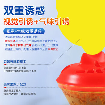 锐本果蝇诱捕器1个装灭蝇神器粘蝇板果蝇小飞虫诱捕器苍蝇粘捕诱饵