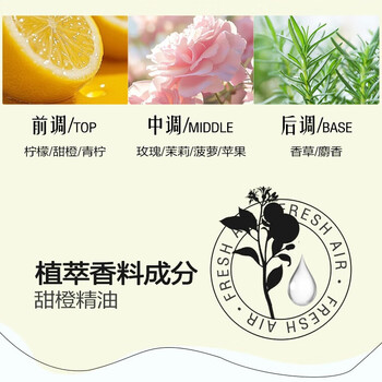 立白果醋精（石榴）500g+西兰固体清香剂(阳光鲜柠香型)(70+8)g*2