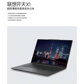 联想（Lenovo）开天X1 国产信创笔记本14英寸 高端商务 兆芯KX-6000G/16G/2T固态/麒麟三年V10/定制