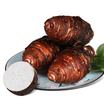 海南定安芋头新鲜粗粮香粉糯洋芋槟榔芋毛芋头仔土特产品 中大果 3斤