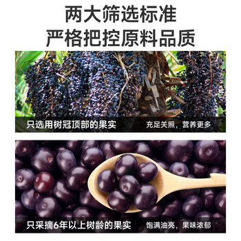 养益君 纯巴西莓粉150g（5g*30条）花青素膳食纤维冲饮超级食物果蔬粉