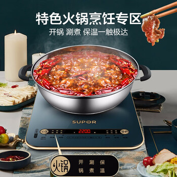 苏泊尔（SUPOR） ZMD安心系列 电磁炉 一键匀猛火 193mm线圈盘 炫彩面板 四角C型圆弧防磕 电磁炉 C22-IH99