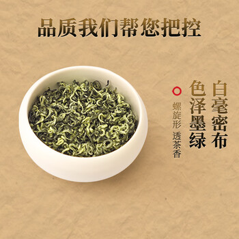 骏江南2026新茶头采碧螺春绿茶茶叶 特级明前250g长辈自己喝节日送礼