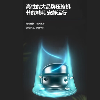 新飞冷柜.96升 卧式单温冷藏冷冻转换冰柜 迷你家用小冷柜 一级能效七档控温【企采购】