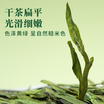 八马茶业绿茶龙井2026年新茶一级296g 瓷罐茶叶礼盒端午父亲节送礼 好运成双