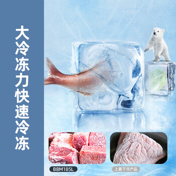 上菱185升双开门冰箱1.5米高左右小型出租房家用两门二门小户型双门宿舍BBM185L