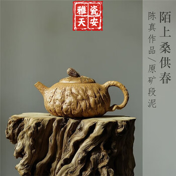 宜兴紫砂壶纯全手工紫砂茶壶茶具功夫泡茶原矿青灰泥劲