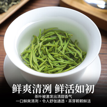 醉君怀茶叶绿茶明前碧螺春特级2026新茶陶瓷240g礼盒装送人茶叶节日父亲